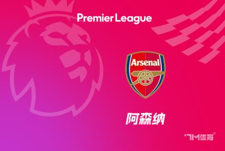 主場(chǎng)負(fù)于紐卡！阿森納連續(xù)13場(chǎng)不敗紀(jì)錄終結(jié)