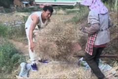 矣進宏干農(nóng)活：堅持到底，只為當初的選擇